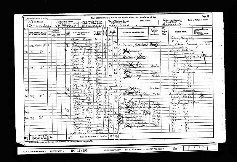 UKCensus 1901 Bermondsey, Rotherhithe, London RG13/393/30 (James Young)